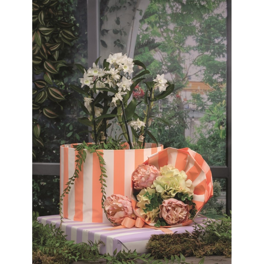 BOBINA PERLATA 1X25MT. LINE GIALLO